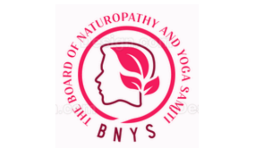 bnys